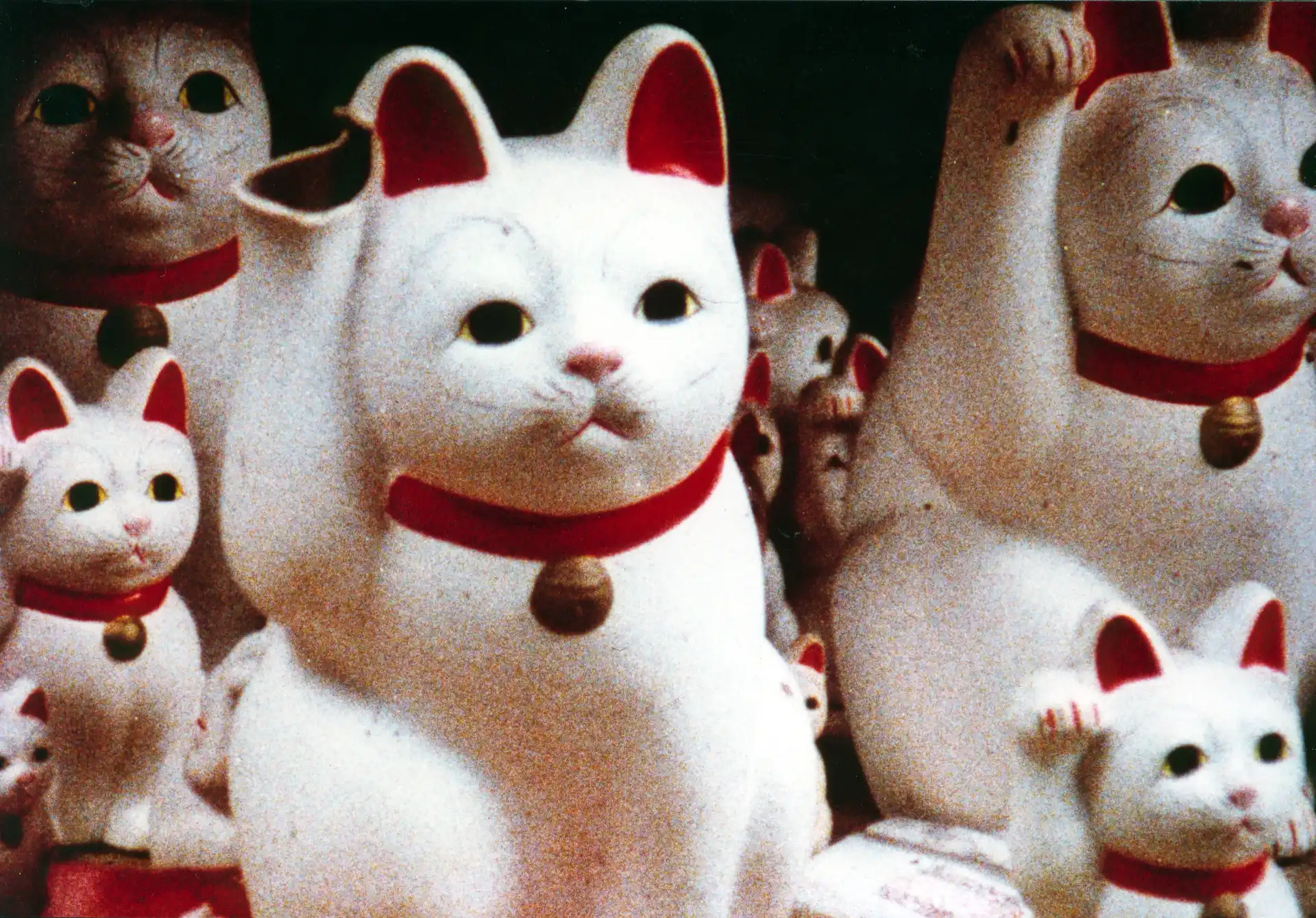 shot 6 from movie Sans Soleil by Chris Marker